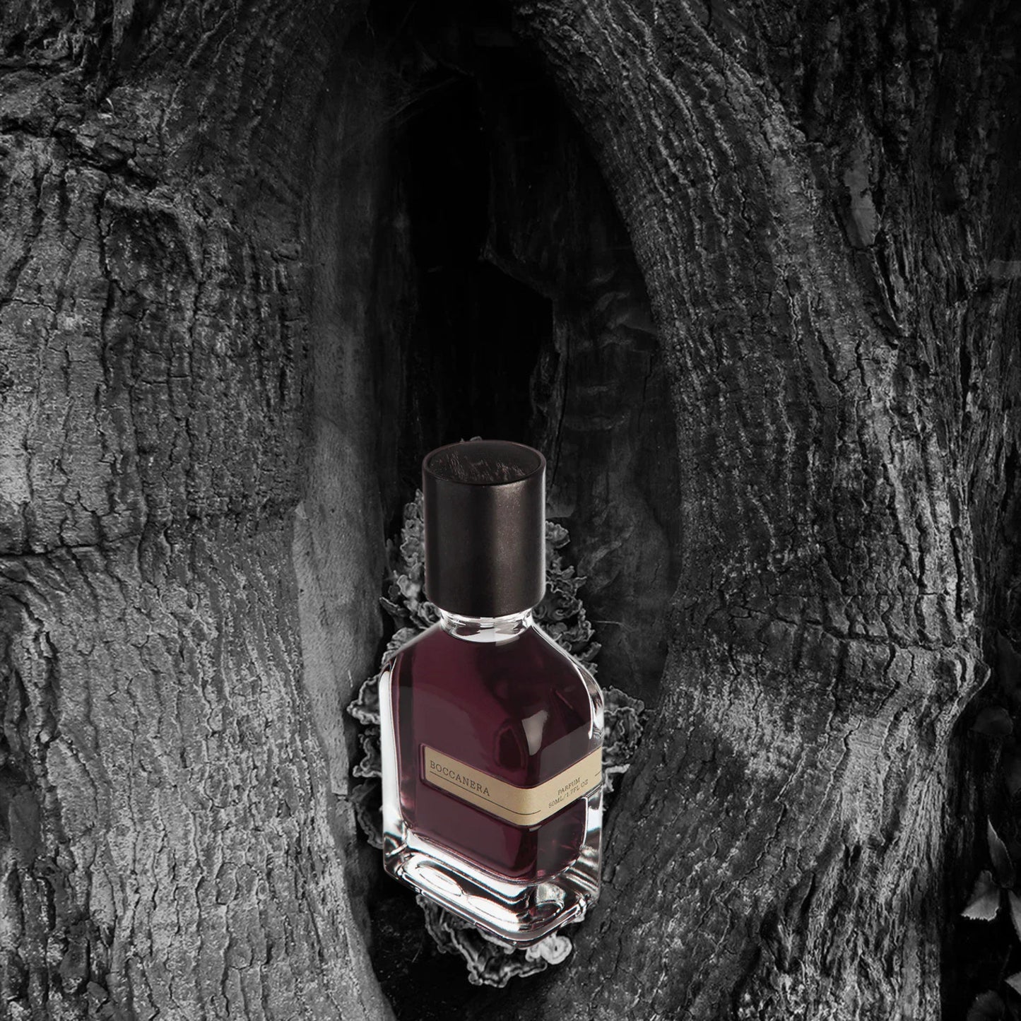 Boccanera