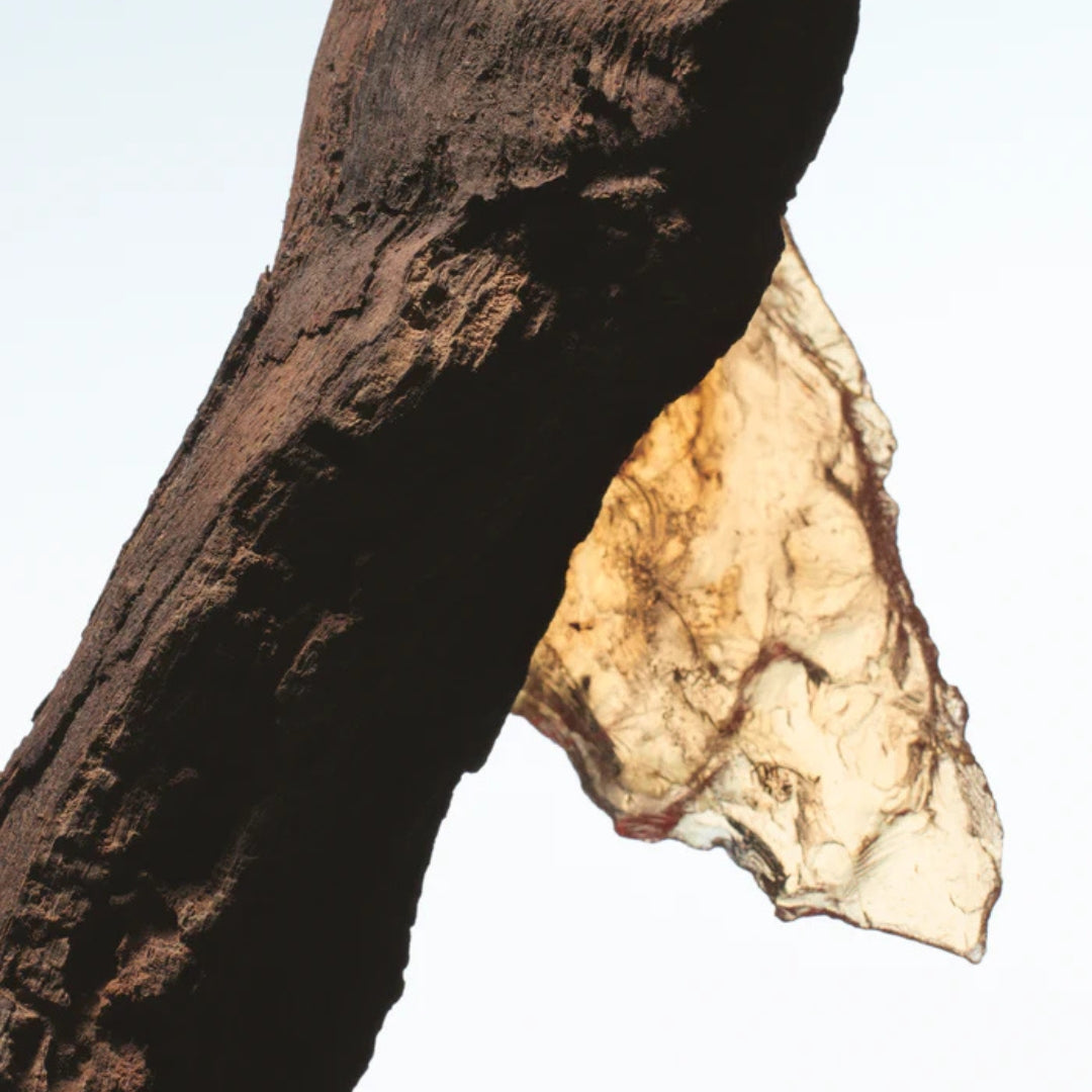 Rock the Myrrh Eau de Parfum