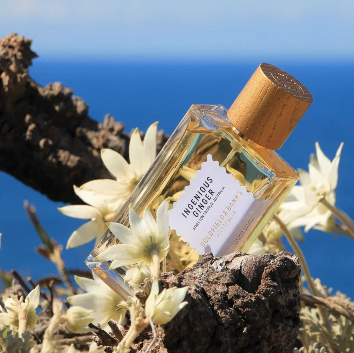 Goldfield & Banks Ingenious Ginger Unisex Eau De Parfum