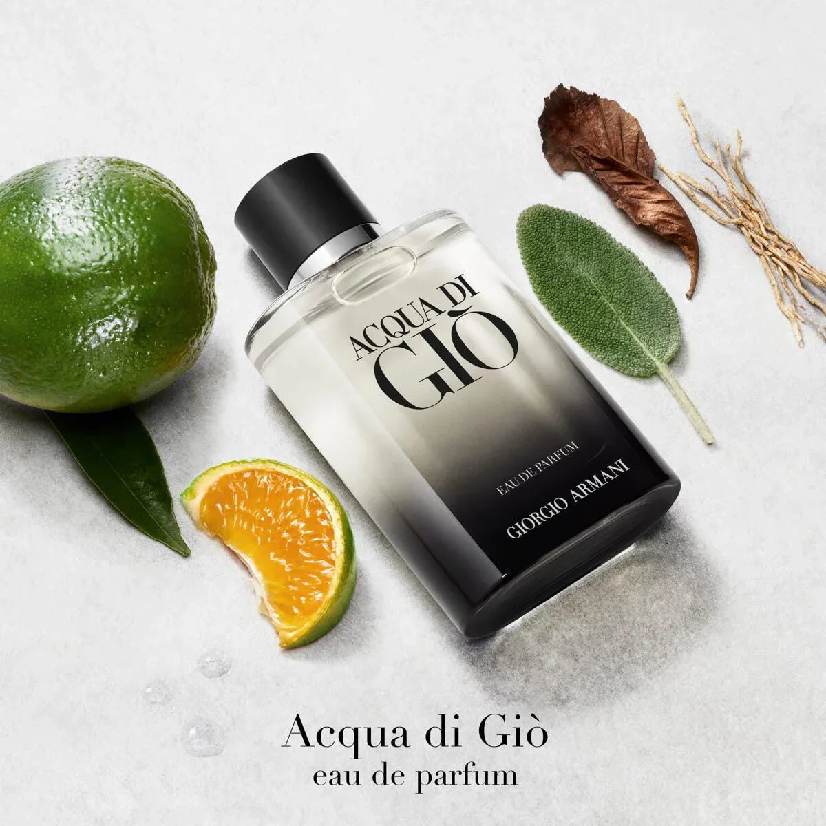 Giorgio Armani Acqua Di Gio For Men Eau De Parfum