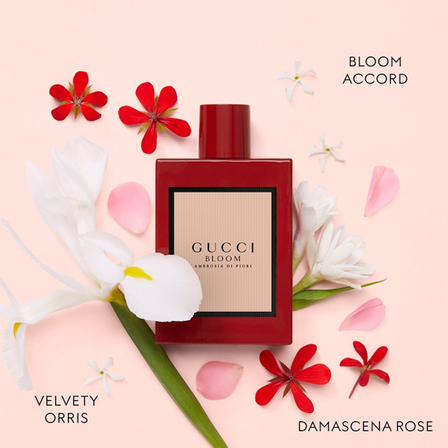 Gucci Bloom Ambrosia Di Fiori For Women Eau De Parfum Intense