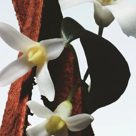Fleur du Mal Eau de Parfum 100ml