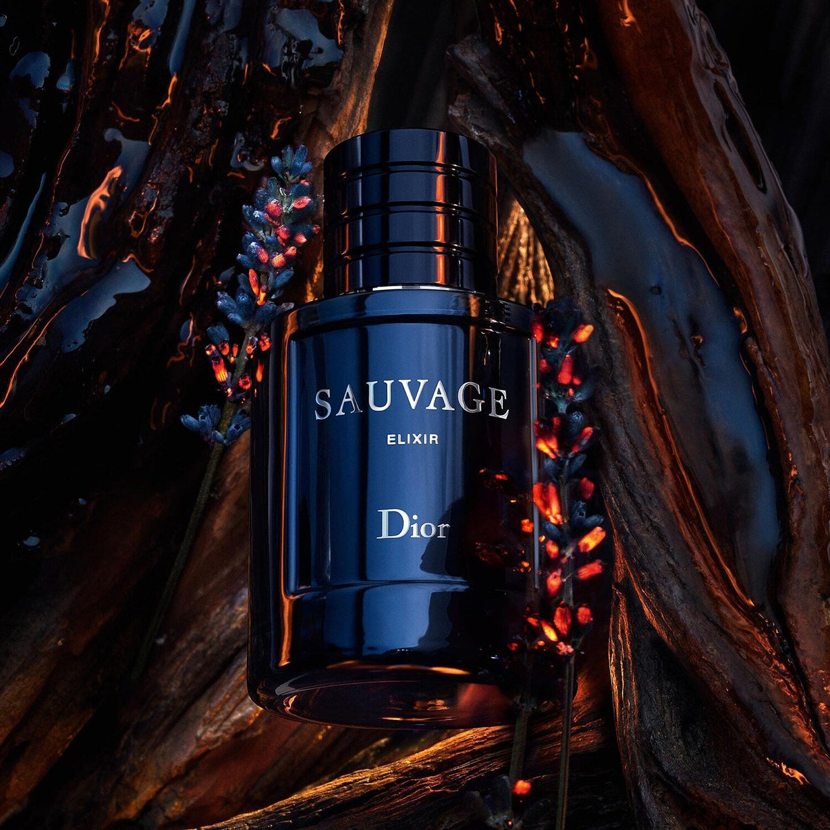 Dior Sauvage Elixir For Men Parfum