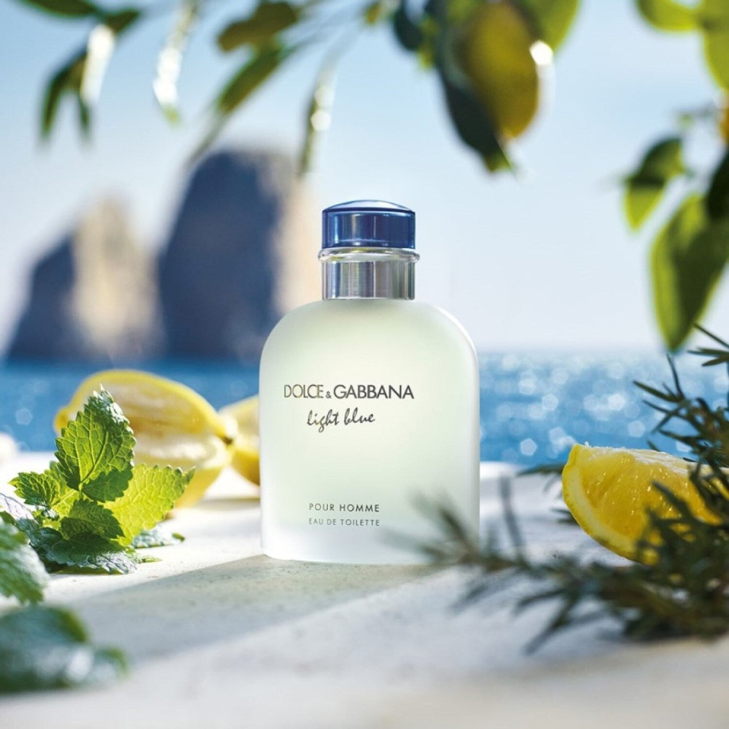 Dolce & Gabbana Light Blue Pour Homme Eau De Toilette