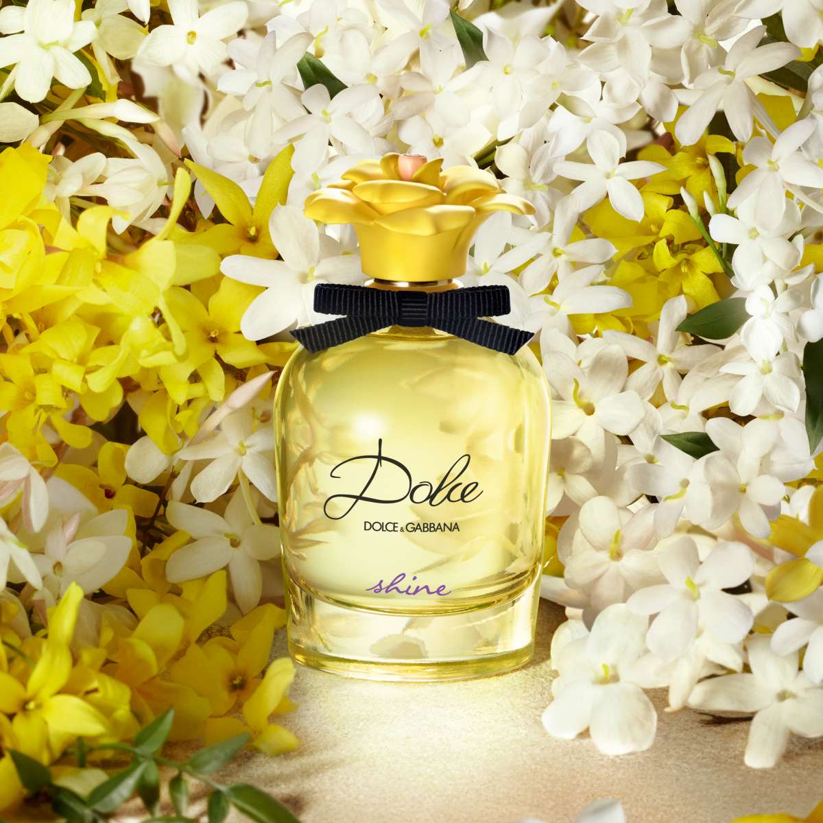 Dolce & Gabbana Dolce Shine For Women Eau De Parfum