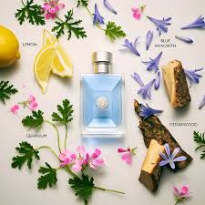 Versace Pour Homme Eau De Toilette
